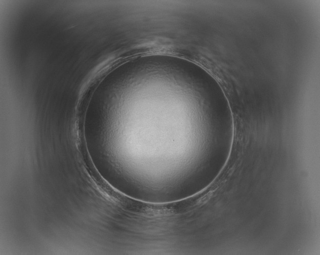 X0000072980245200607211256
