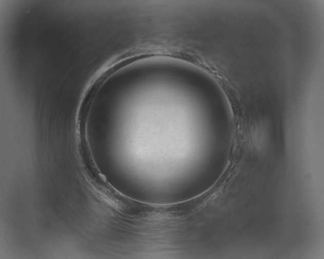 X0000072980246200607211256