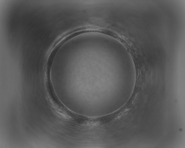 X0000072980247200607211257