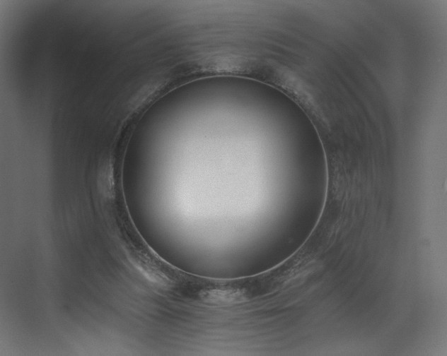 X0000072980251200607211257