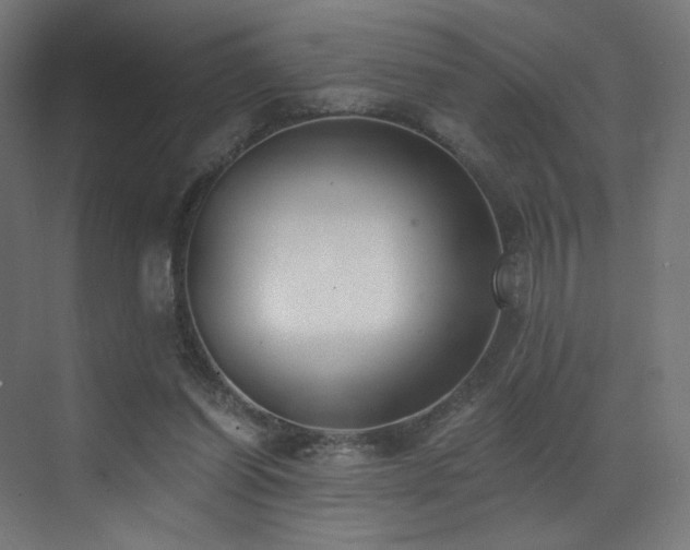 X0000072980254200607211257