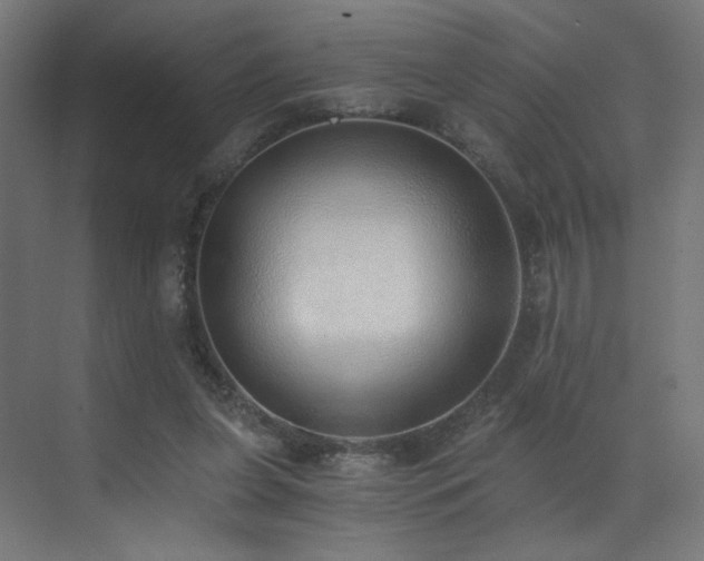 X0000072980255200607211257