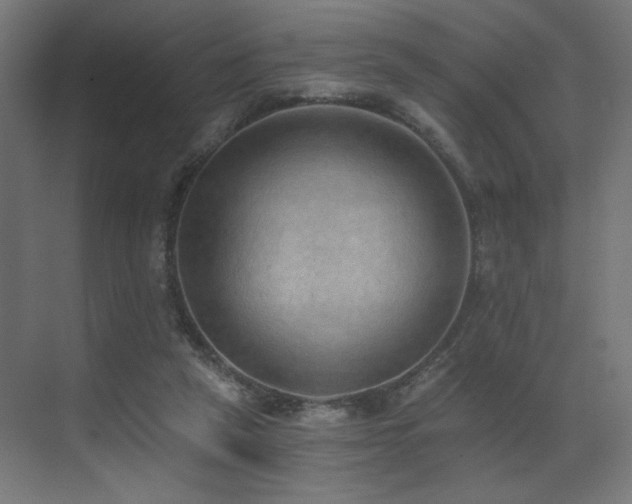 X0000072980257200607211257