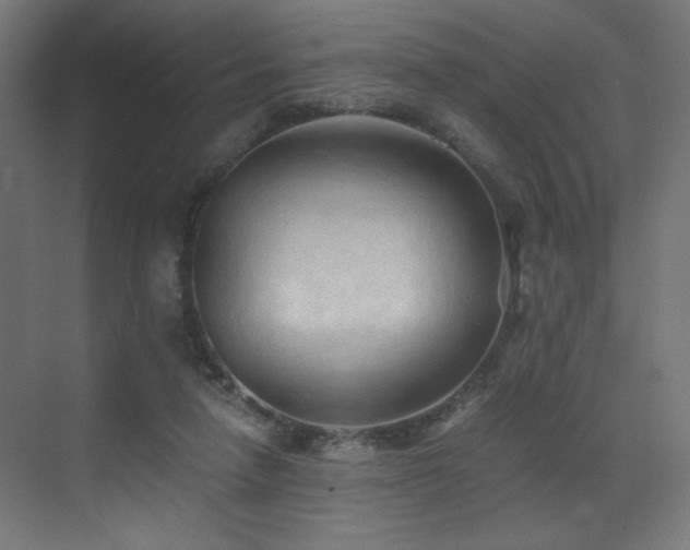 X0000072980258200607211257