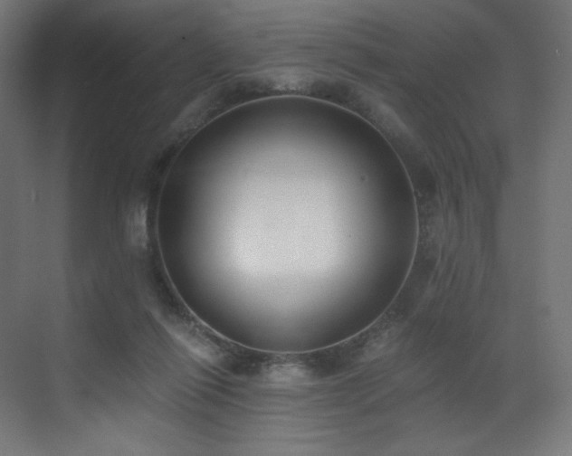 X0000072980262200607211257