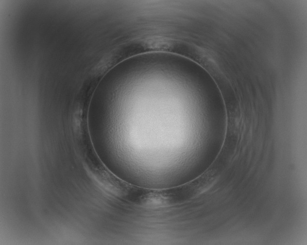 X0000072980263200607211257
