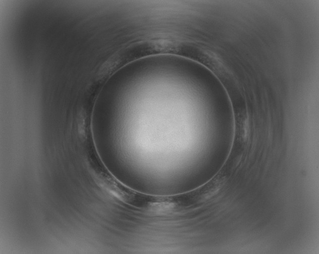 X0000072980266200607211257