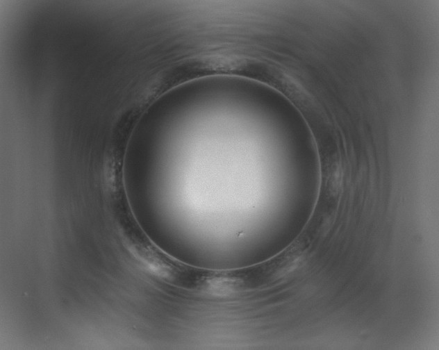 X0000072980268200607211257