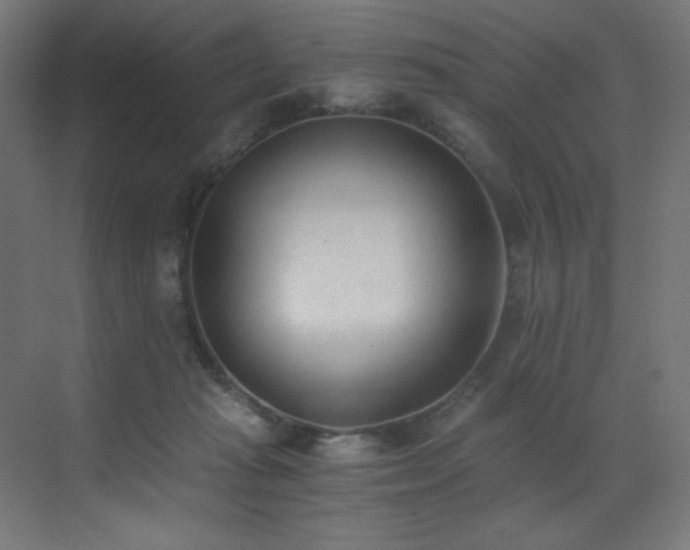 X0000072980269200607211257