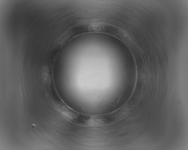 X0000072980270200607211257