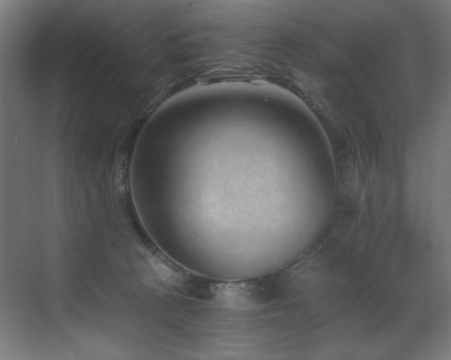 X0000072980273200607211257