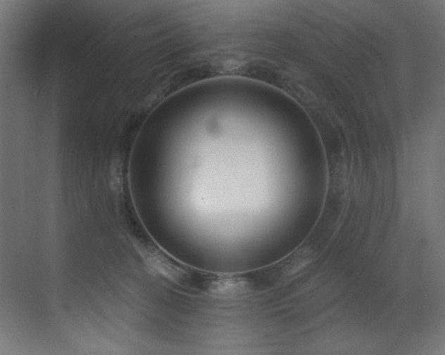 X0000072980274200607211257