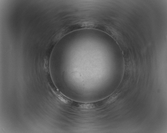 X0000072980281200607211257