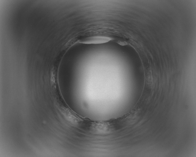 X0000072980282200607211257