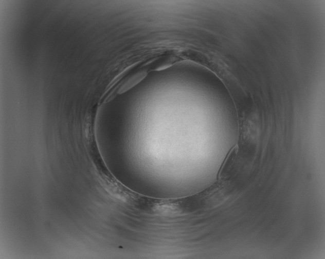 X0000072980283200607211257