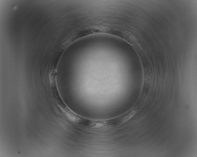 X0000072980285200607211257