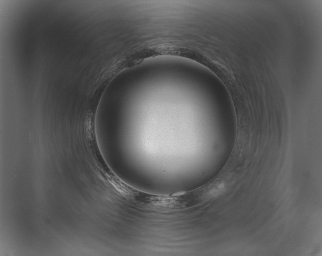 X0000072980288200607211257