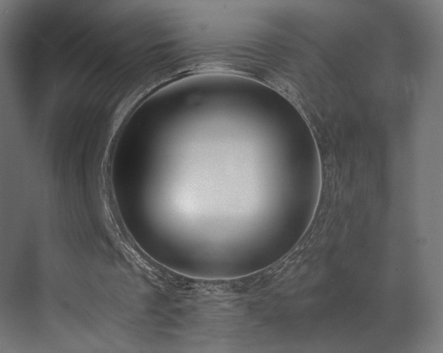 X0000072980289200607211256