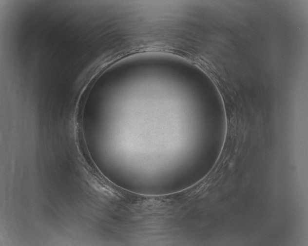 X0000072980290200607211256