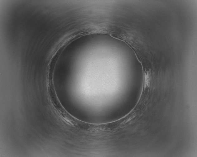 X0000072980291200607211256