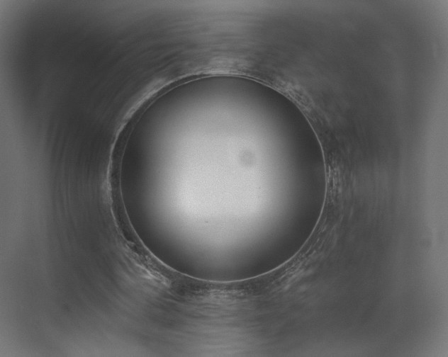X0000072980292200607211256