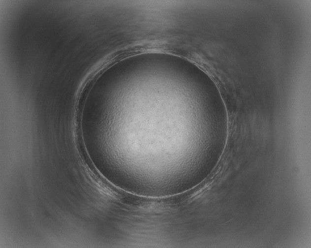 X0000072980293200607211256