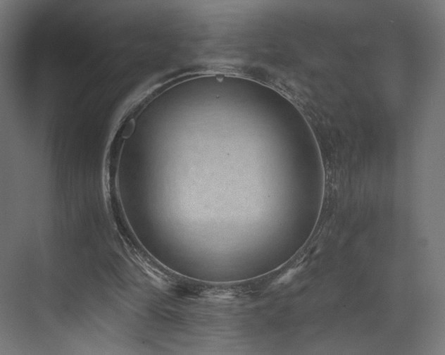X0000072980294200607211256