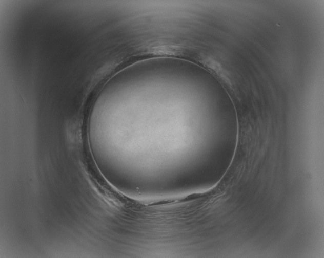 X0000072980299200607211256