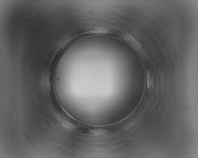 X0000072980300200607211256