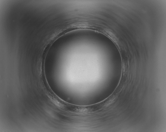 X0000072980301200607211256
