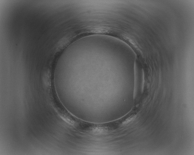 X0000072980303200607211256