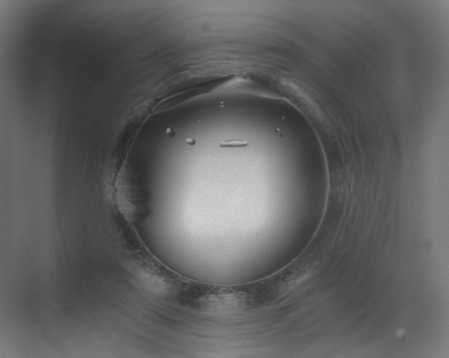 X0000072980307200607211256