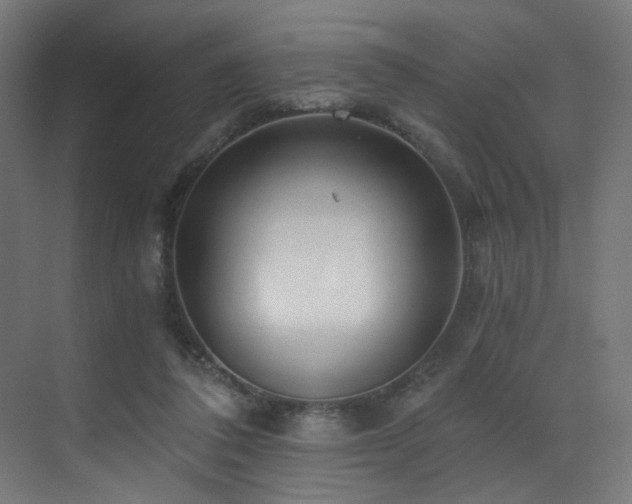 X0000072980308200607211256