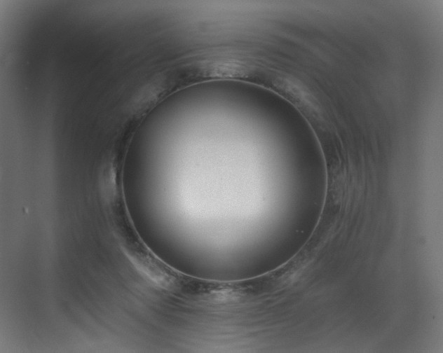 X0000072980310200607211256