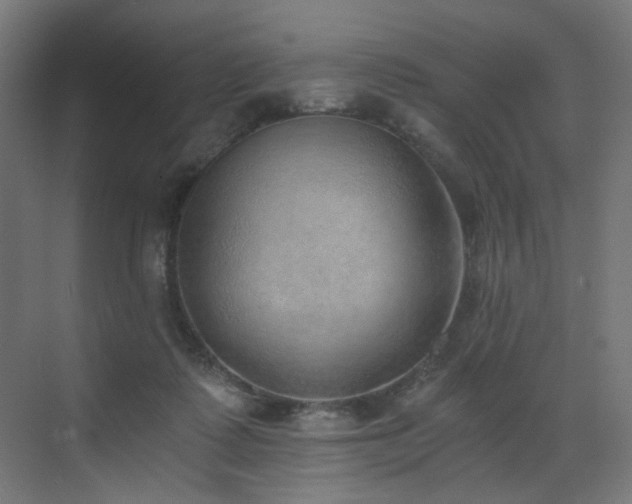 X0000072980315200607211256