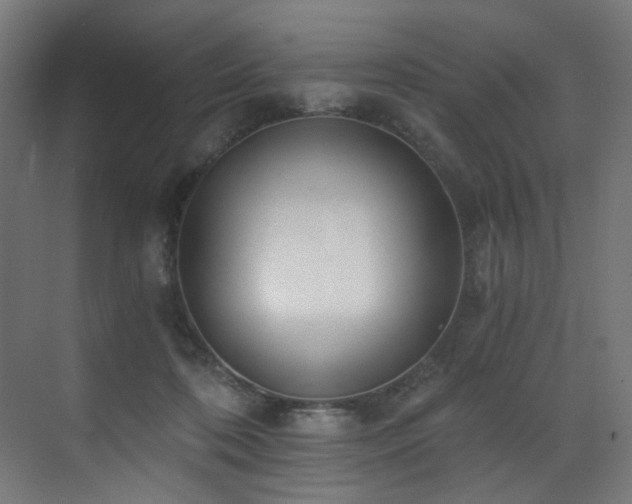 X0000072980316200607211256