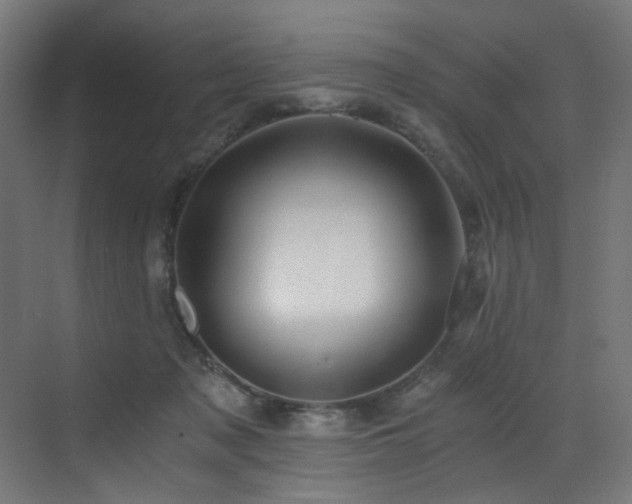 X0000072980317200607211256