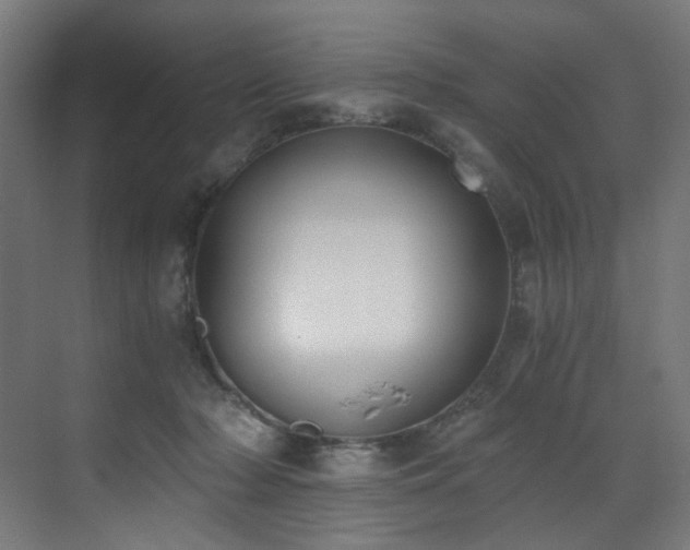 X0000072980318200607211256