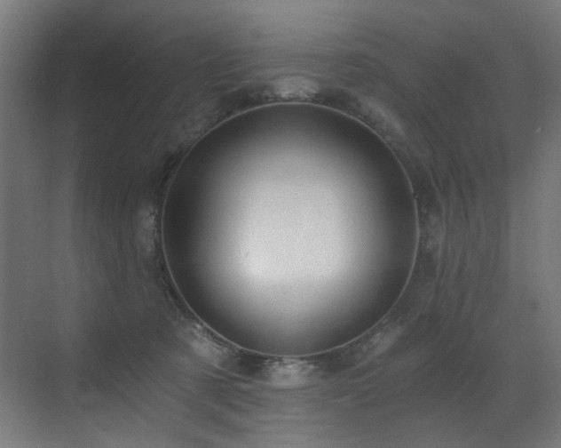 X0000072980321200607211256