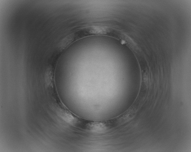 X0000072980322200607211256