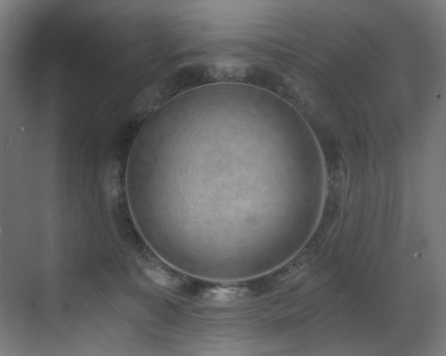 X0000072980323200607211256