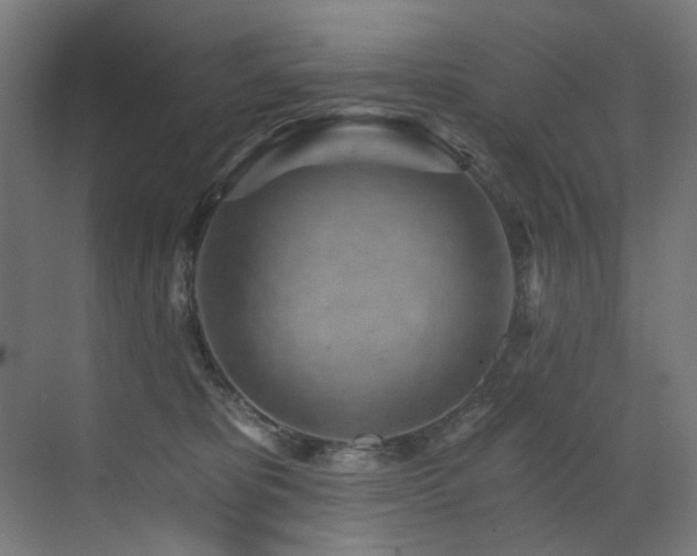 X0000072980325200607211256