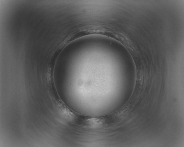 X0000072980326200607211256
