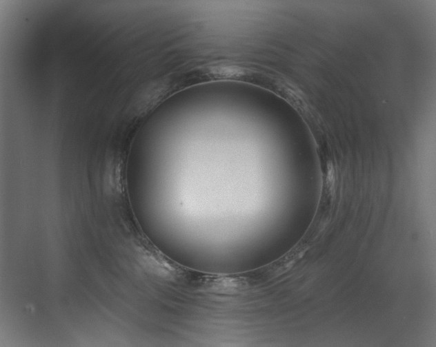 X0000072980330200607211256