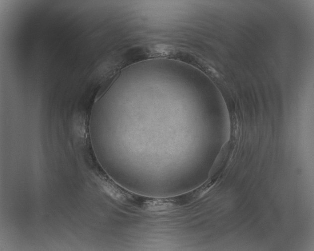 X0000072980331200607211256