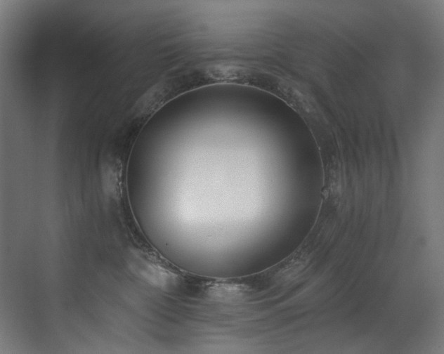 X0000072980332200607211256