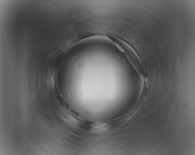 X0000072980334200607211256