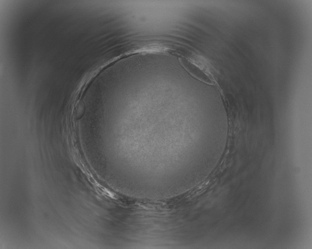 X0000072980337200607211255