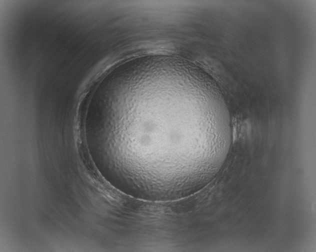 X0000072980339200607211255