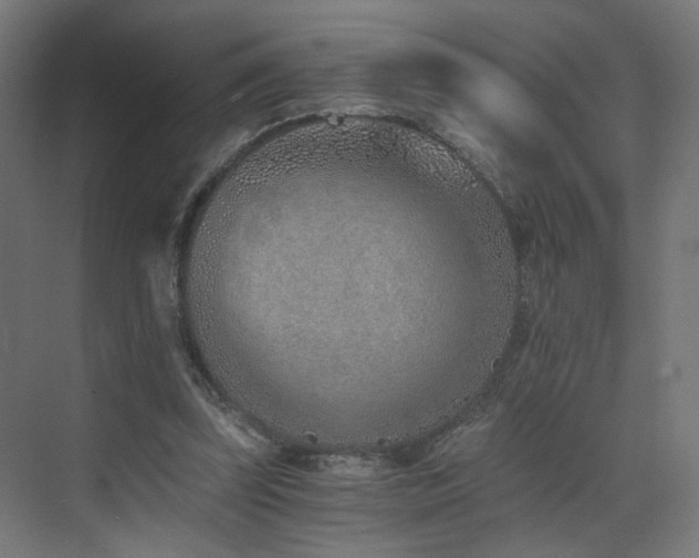 X0000072980347200607211255